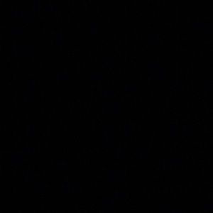 Meet your Posher, Dalton